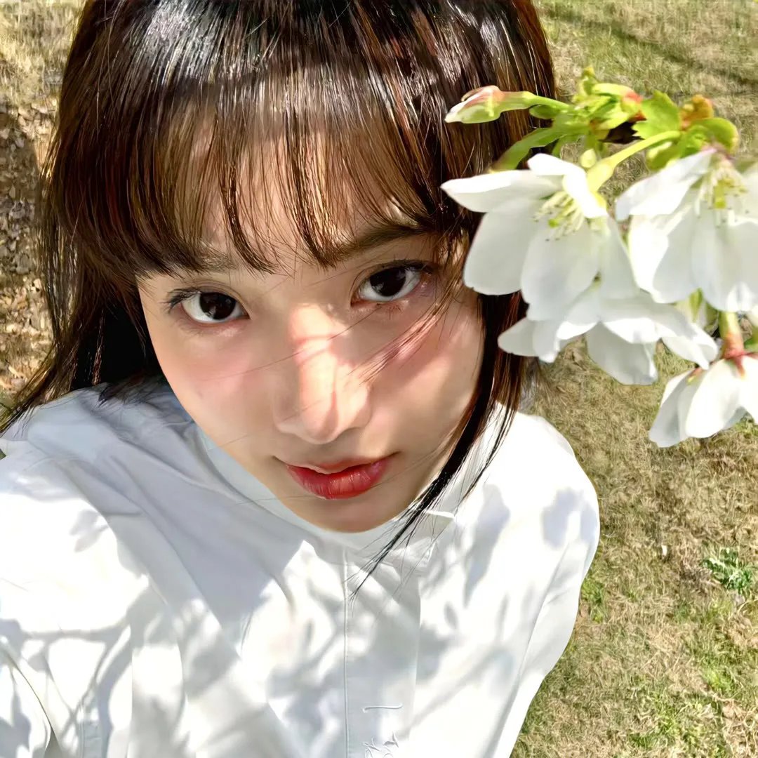 泽塔奥特曼 国语版