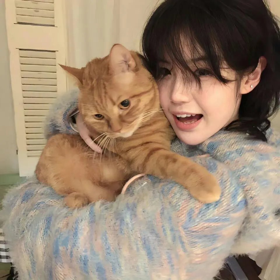 单人房、日照一般、附天使。